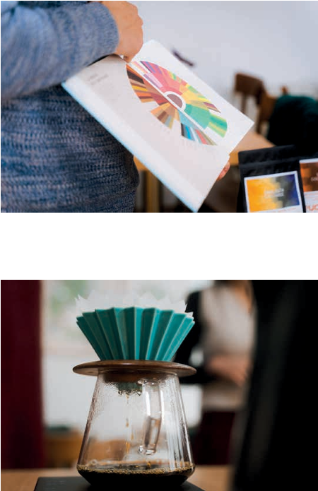 Atelier Cupping